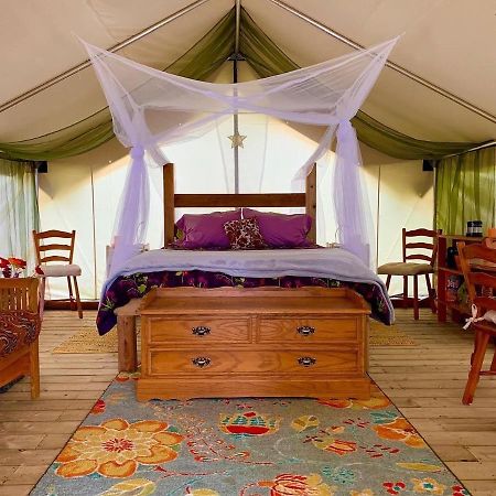 ホテル So Damn Lucky Glamping ユクルーレット エクステリア 写真