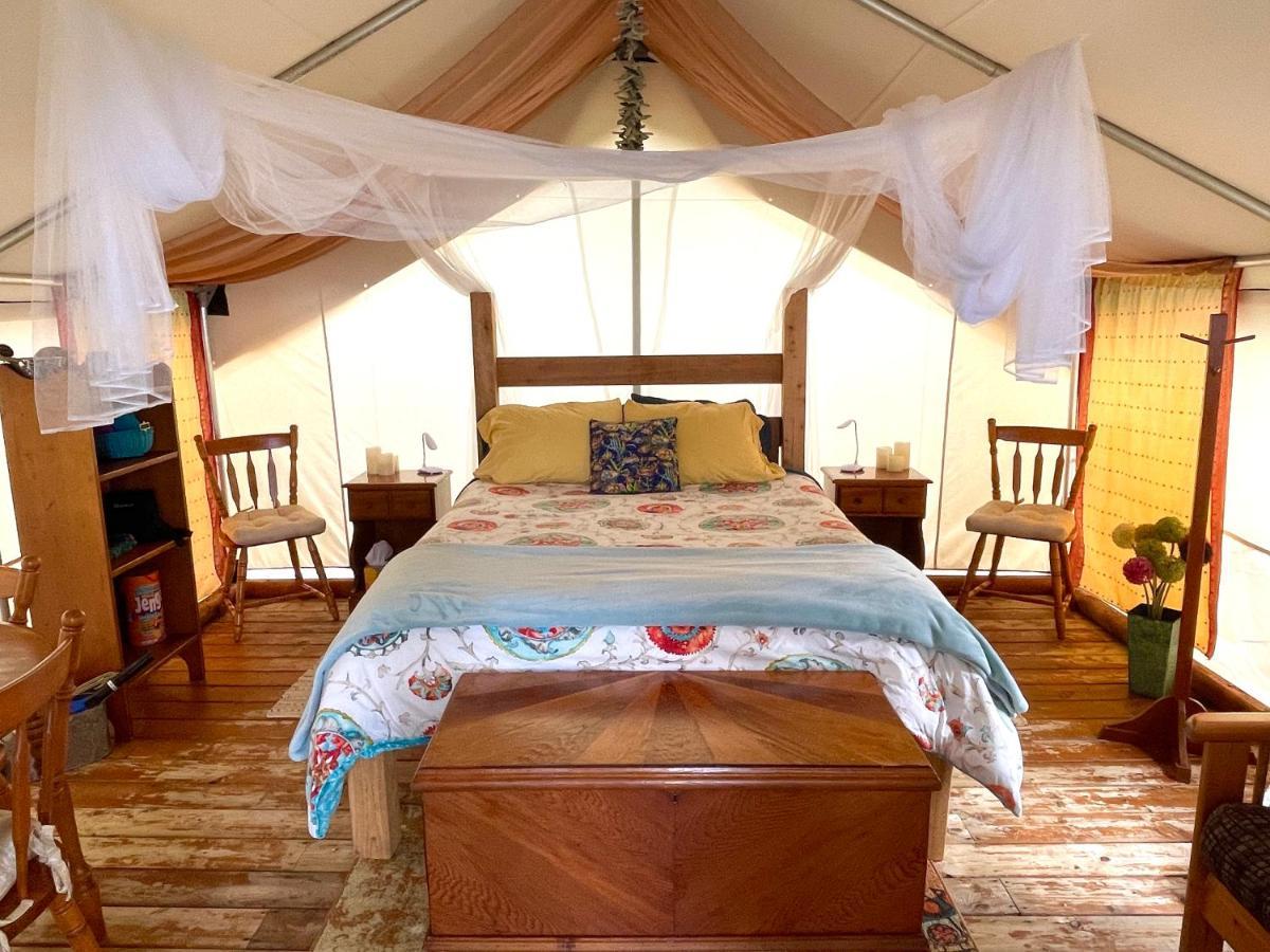 ホテル So Damn Lucky Glamping ユクルーレット エクステリア 写真