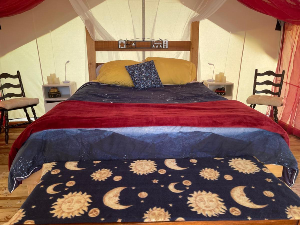 ホテル So Damn Lucky Glamping ユクルーレット エクステリア 写真