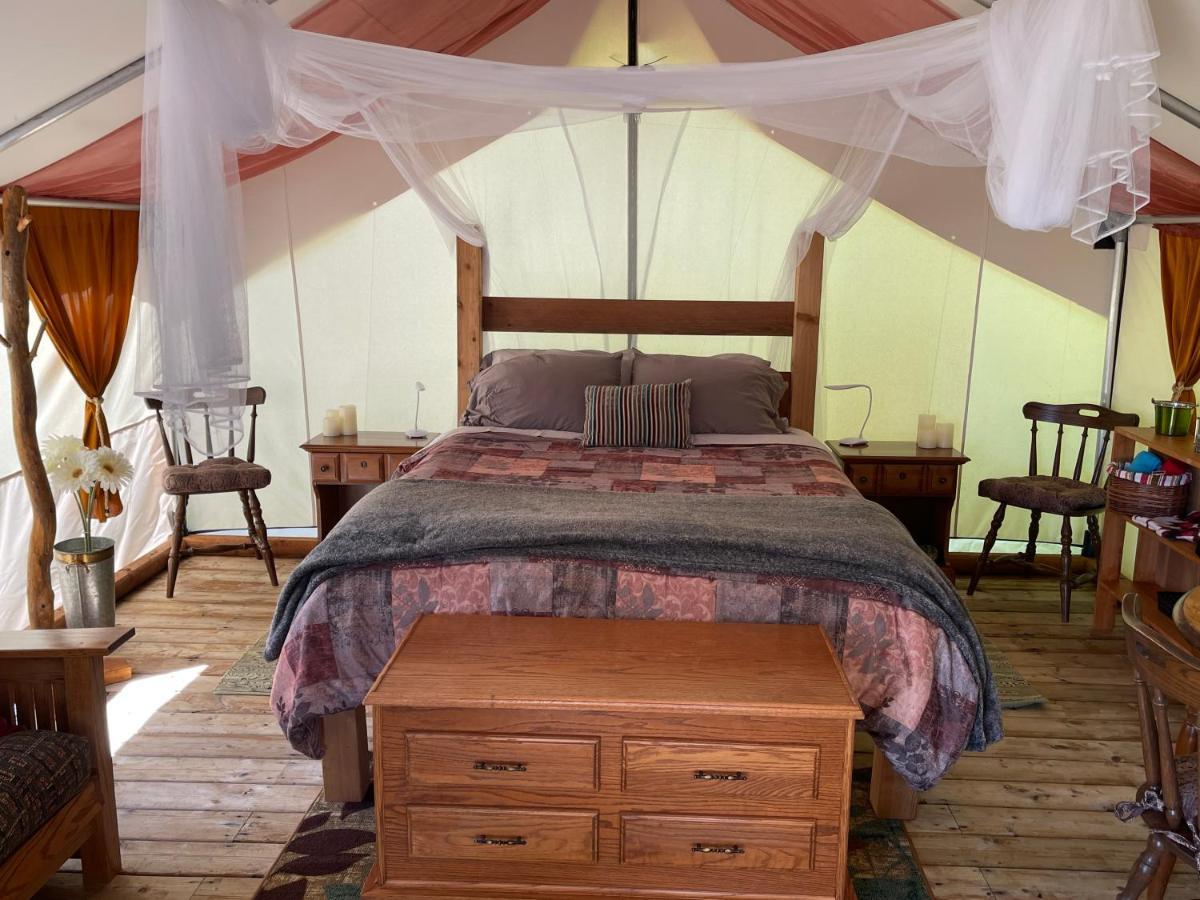 ホテル So Damn Lucky Glamping ユクルーレット エクステリア 写真
