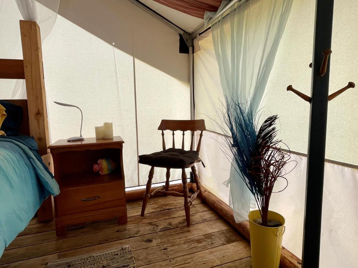 ホテル So Damn Lucky Glamping ユクルーレット エクステリア 写真