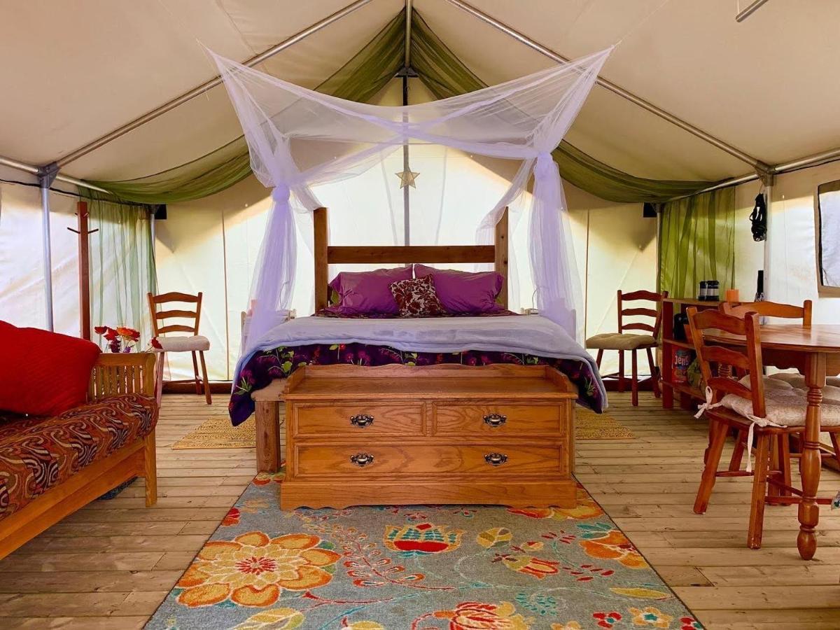 ホテル So Damn Lucky Glamping ユクルーレット エクステリア 写真